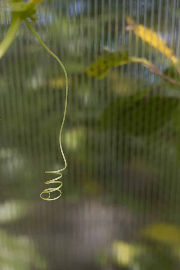 How to Adapt Real Estate Development Strategies to Accommodate Autonomous Delivery Technologies?